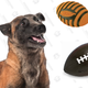 Illustration for article titled How To Throw Your Own Puppy Bowl